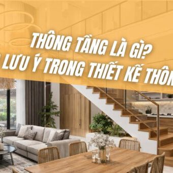 thong-tang-la-gi