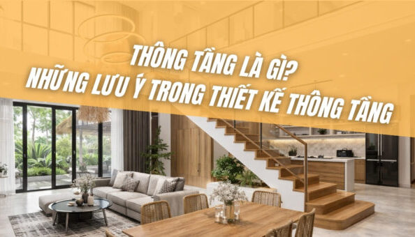 thong-tang-la-gi
