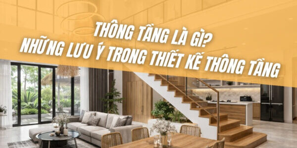 thong-tang-la-gi